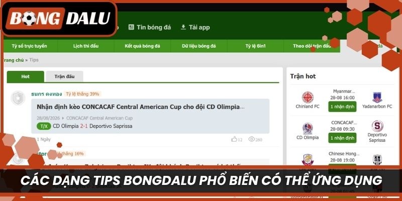 Các dạng Tips Bongdalu phổ biến có thể ứng dụng