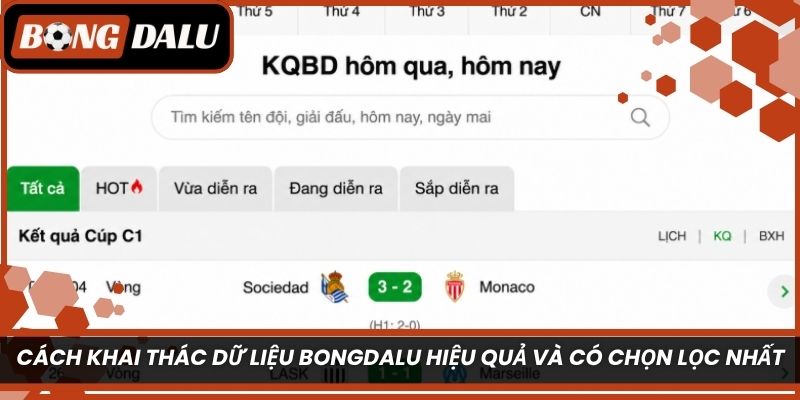 Cách khai thác dữ liệu Bongdalu hiệu quả và có chọn lọc nhất