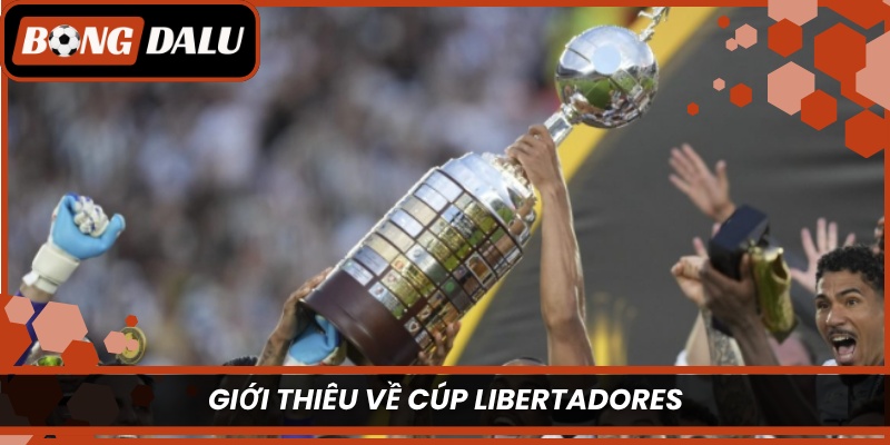 Giới thiệu về cúp Libertadores