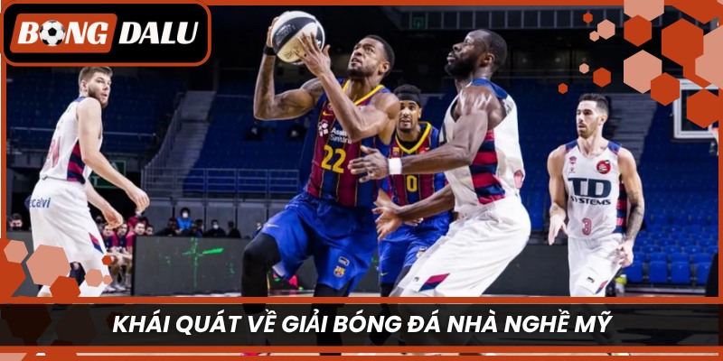 Khái quát về giải bóng đá Nhà Nghề Mỹ