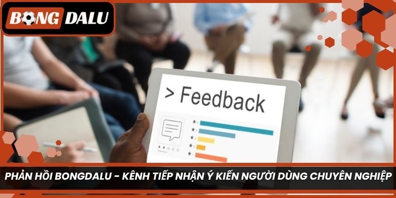 Phản Hồi Bongdalu - Kênh tiếp nhận ý kiến người dùng chuyên nghiệp